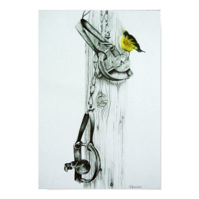 "Yellow Finch" Print by Spaziani