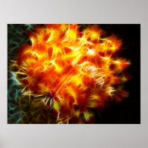 Yellow Fire Urchin Posters