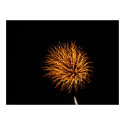 Yellow Fireworks posters