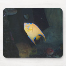 Yellow Fish mousepads by chrhen2007 Yellow Fish mousepads
