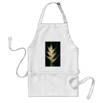 Yellow Fishtail heliconia (Heleconia elongata) flo Aprons