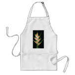 Yellow Fishtail heliconia (Heleconia elongata) flo Aprons