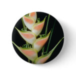 Yellow Fishtail heliconia (Heleconia elongata) flo Pin