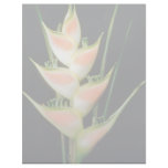 Yellow Fishtail heliconia (Heleconia elongata) flo Letterhead Template
