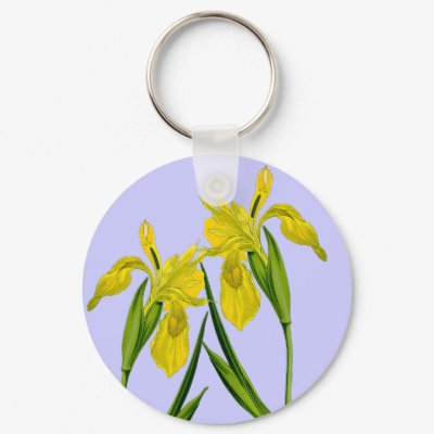 Yellow Flag Iris Botanical Drawing Keychain by FalconsEye