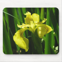 Yellow Flag Iris mousepads