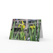Yellow Flag Iris Notecard by tyto2820 Yellow Flag Iris Notecard
