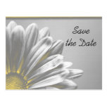 Yellow Floral Highlights Wedding Save the Date Post Cards