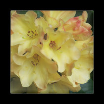 Yellow floral magnet
