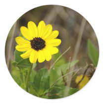 Yellow Florida Wildflower Sticker