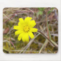 Yellow Flower 02 mousepads by idream10 Yellow Flower 02 mousepads