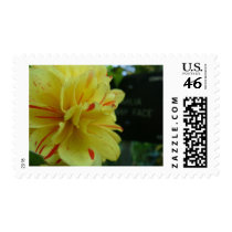 yellow flower 2 postage by Elfain yellow flower 2 postage