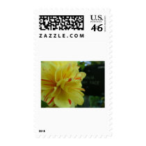 yellow flower 2 postage by Elfain yellow flower 2 postage