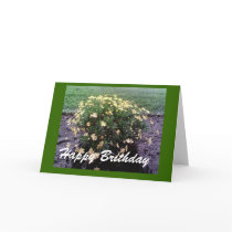 Yellow flower Birthday Card
