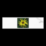 Yellow Flower bumper stickers