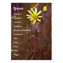 Yellow flower business card templates