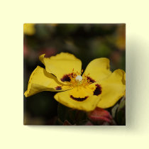 Yellow Flower buttons