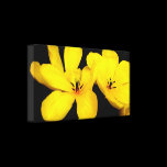 Yellow Flower Canvas Wrapped Print canvas prints