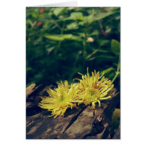 Yellow flower card