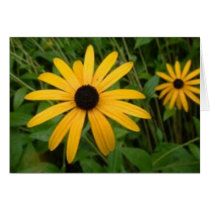 Yellow Flower cards