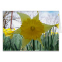 Yellow Flower cards