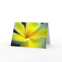 Yellow Flower cards