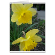 Yellow Flower card