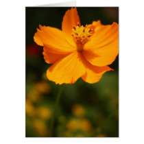 Yellow flower card