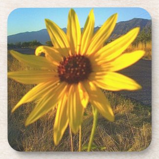 Yellow Flower Coaster