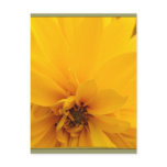 Yellow Flower Customizable Post Cards