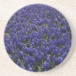 Yellow Flower Display flowers Beverage Coaster