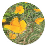 Yellow Flower Fractal Trace Round Stickers
