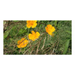 Yellow Flower Garden Customized Photo Card