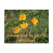 Yellow Flower Garden postcards by allthingsnatural Yellow Flower Garden postcards