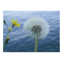 Yellow Flower Globe posters by greenblueyellow Yellow Flower Globe posters