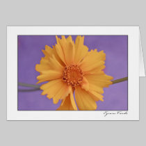 Yellow Flower cards
