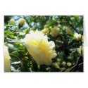 Yellow Flower Haiku Card by ndiptanya Yellow Flower Haiku Card