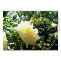 Yellow Flower Haiku Card by ndiptanya Yellow Flower Haiku Card