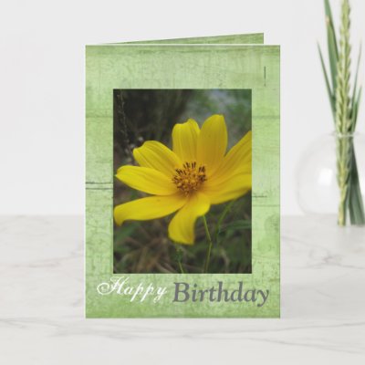 yellow_flower_happy_birthday_card-p137837437222060863q6am_400.jpg