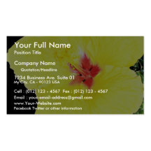 Yellow flower, hybrid hibiscus business card template