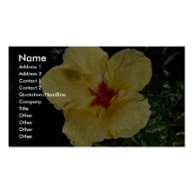 Yellow flower, hybrid hibiscus business card templates
