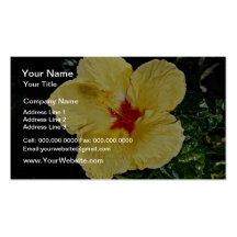 Yellow flower, hybrid hibiscus  flowers business cards