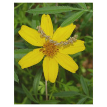 Yellow Flower In the Grass flyers by digitalshirts Yellow Flower In the Grass flyers