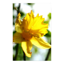 Yellow flower in the sun posters by robbekker Yellow flower in the sun posters
