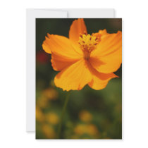 Yellow flower invitation