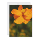 Yellow flower invitation