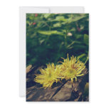 Yellow flower announcement