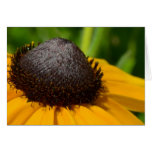 Yellow Flower Macro Greeting Card
