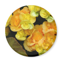 Yellow flower magnets by Yarijik Yellow flower magnets