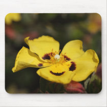 Yellow Flower mousepads